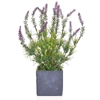 Artificial Lavender in a Slate Pot - 36cm, Purple