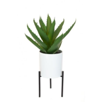 Artificial Aloe Pot and Stand - 29cm, Green