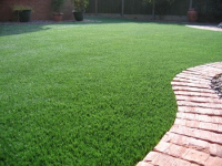 Artificial Classic Lawn Grass - 2 sqm, 20mm Pile Height,  Green