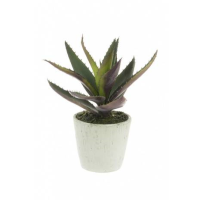 Artificial Agave in a Large Pot  - 30cm, Red/Green