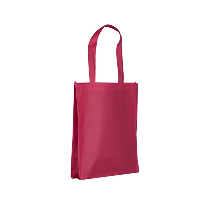 Custom Printed Non-woven PP Bags