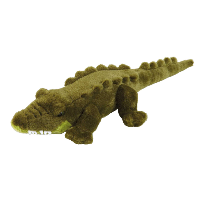 Crocodile