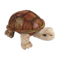 Giant Tortoise Soft Toy