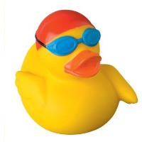 Swimmer Duck