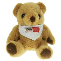 13Cm Bandana Bear