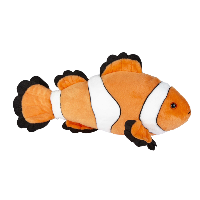 Clown Fish