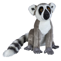 Ring-Tailed Lemur