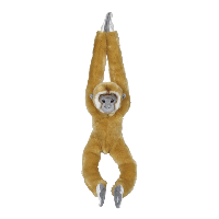 Gibbon Hanging