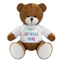 Printed Promotional Soft Toy Richard Teddy Bear