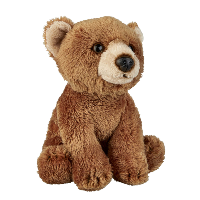 Brown Bear Soft Toy