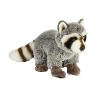 Raccoon Soft Toy