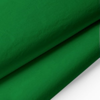 Festive Green Acid-Free Tissue Paper by Wrapture [MF]