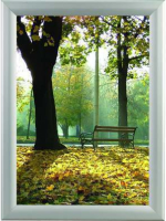 Water proof  Snap Frame  A0