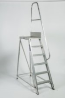 Professional Platform Step Ladder 
