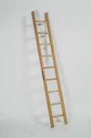 Timber Single Section Ladder 