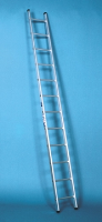 3m Long Single Section Ladders
