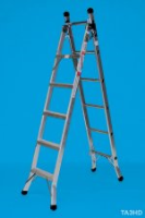 3 Way Domestic Ladder