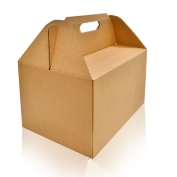 Compostable Eco-Friendly LRG Carry Box