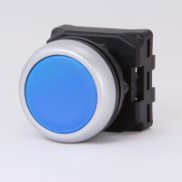 Flush Push Button Head 22mm BLUE