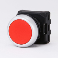 Flush Push Button Head 22mm RED