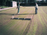 Level Lawns &#8211 2M (6.5Ft) Or 3M (10Ft) Wide