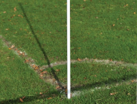 Flexible Plastic Corner Pole