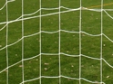 Suppliers Of Junior White Knotless Nets