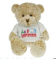 20cm Premier Fudge Bear T-shirt  E1214406