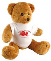 ROBBIE BEAR WITH WHITE T-SHIRT 10 inch  E1214302