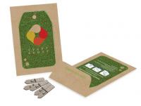 Medium Seed Packet Envelopes - Kraft E1214104