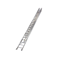 Triple Rope Extension Ladder-class 1