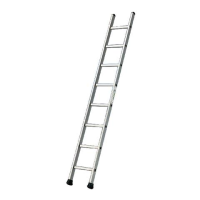 Single Section Ladder-Class 1