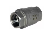 AE-966 – Stainless Steel Spring Check Valve