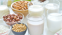 Non-Dairy Milk Manufacturing - Plant-Based Milk Alternatives Processing