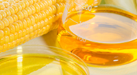 Refining of Vegetable Oils for Biofuels