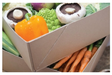 Sustainable Solid Board Box Solutions For The Food Sector 