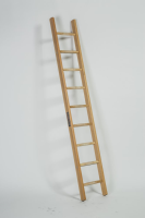 Timber Single Ladder - S