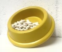 Eco-Friendly Pet Bowls Manufacturer In Manchester