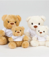 Suppliers Of Mumbles Bear in a T-Shirt