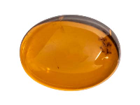 Natural Amber, Oval Cabochon,      16x12mm