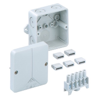Spelsberg Abox 025 Polystyrene 80 x 80 x 52mmD Enclosure IP65 Grey with 5 Pole Connection Block
