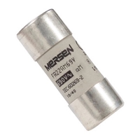 Mersen FR22 22 x 58mm 25A aM 690V Fuse J212597