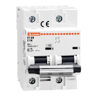 Lovato P2MB Double Pole MCB C Curve 80A