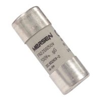 Mersen FR22 22 x 58mm 100A gG 500V Fuse E218205