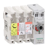 Schneider TeSys GS 315A 3 Pole Switch Fuse for Base Mounting Switch mechanism on right hand side