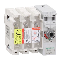 Schneider TeSys GS 100A 3 Pole Switch Fuse for Base Mounting Switch mechanism on right hand side