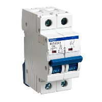 IMO BIS Double Pole Isolating Switch 63A