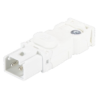 STEGO AC Male Connector for LED 025 Lamps