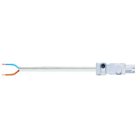 STEGO LED 025 DC Connection Cable for LED 025 Lamps 2 Metres 2 Core 1.5mm Cable