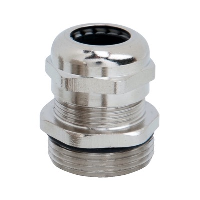 M25 Brass Nickel Plated Gland